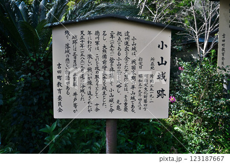 小山城 (遠江国)　模擬天守閣と三日月堀 123187667