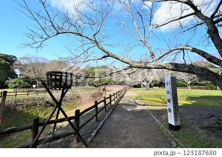 小山城 (遠江国) 模擬天守閣と三日月堀 小山城 (遠江国) 模擬天守閣と三日月堀 123187680