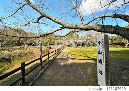 小山城 (遠江国) 模擬天守閣と三日月堀 小山城 (遠江国) 模擬天守閣と三日月堀 123187690