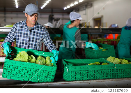 Man working in vegetable factory Man working in vegetable factory 123187699