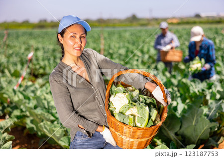 Farmer woman with a harvest of cabbage on field 123187753