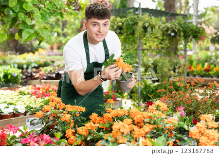 Young floriculturist caring potted blooming Crossandra in garden center 123187788
