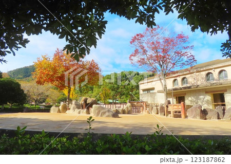 【広島県】広島市安佐動物公園のゾウ舎 【広島県】広島市安佐動物公園のゾウ舎 123187862