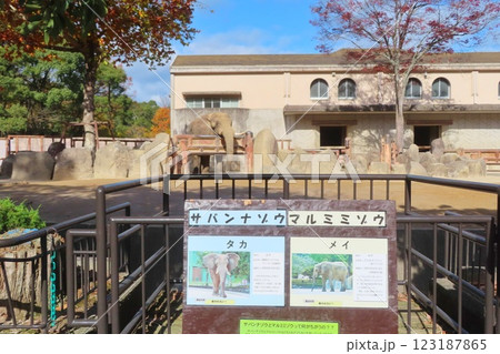 【広島県】広島市安佐動物公園のゾウ舎 123187865