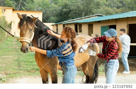Two caring women combing and brush horse at riding club 123187892