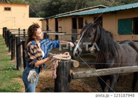 Backyard of stables on typical autumn day - horse walking 123187948