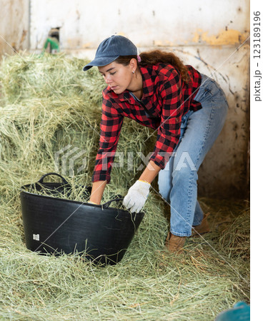Beautiful young girl in plaid shirt and gloves stacking hay for feeding horses in basket at stable Beautiful young girl in plaid shirt and gloves stacking hay for feeding horses in basket at stable 123189196