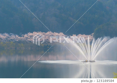 湖畔の噴水と桜 湖畔の噴水と桜 123189584