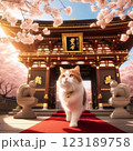 猫と桜 123189758