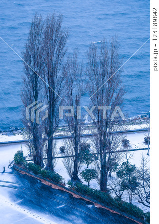 積雪を見る琵琶湖湖畔 積雪を見る琵琶湖湖畔 123189842