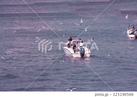 モーターボートと戯れるようにカモメ達水面スレスレを飛び回る。水面は夕焼けを写し気分は最高 モーターボートと戯れるようにカモメ達水面スレスレを飛び回る。水面は夕焼けを写し気分は最高 123190566