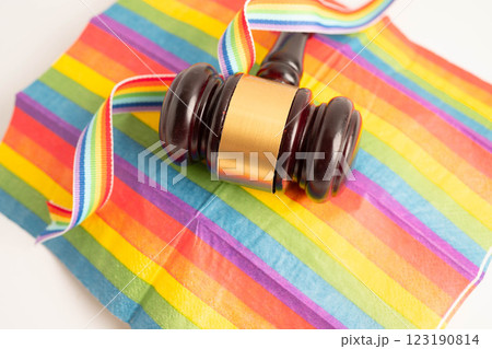 Gavel for judge lawyer on rainbow flag, symbol of LGBT pride month. 123190814
