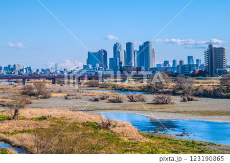 日本の東京都市景観2月10日…多摩川や川崎・武蔵小杉駅前のタワーマンション群など望む＝令和7年 123190865