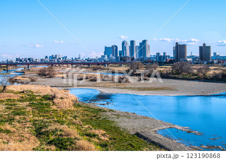 日本の東京都市景観2月10日…多摩川や水鳥、川崎・武蔵小杉駅前のタワーマンション群など望む=令和7年 日本の東京都市景観2月10日…多摩川や水鳥、川崎・武蔵小杉駅前のタワーマンション群など望む=令和7年 123190868