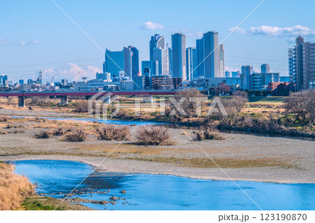 日本の東京都市景観2月10日…多摩川や水鳥、川崎・武蔵小杉駅前のタワーマンション群など望む=令和7年 日本の東京都市景観2月10日…多摩川や水鳥、川崎・武蔵小杉駅前のタワーマンション群など望む=令和7年 123190870