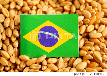 Brazil flag on grain wheat, trade export and economy concept. 123190917