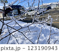 枝につく氷 123190943