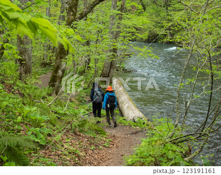 【青森】奥入瀬渓流 123191161