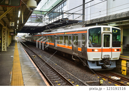 大垣駅 東海道線311系 大垣駅 東海道線311系 123191516