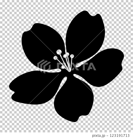 桜の花びらの黒いシンプルなシルエットイラスト　透過背景の切り抜き 123191713
