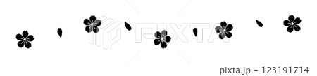桜の花びらのシルエットで構成された区切り線のイラスト　透過背景の切り抜き 123191714