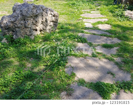 沖縄　那覇市松山公園11　飛び石 123191815