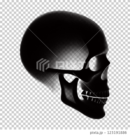 Skull grayscale silhouette illustration cut out on transparent background 123191886