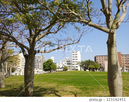 沖縄 那覇市松山公園15 沖縄 那覇市松山公園15 123192451