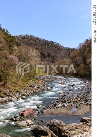 北海道占冠村、山あいを流れる春の鵡川【5月】 北海道占冠村、山あいを流れる春の鵡川【5月】 123192533