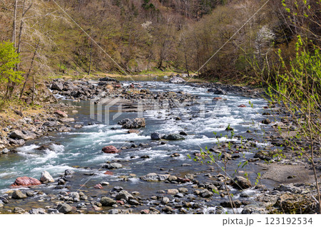 北海道占冠村、山あいを流れる春の鵡川【5月】 123192534