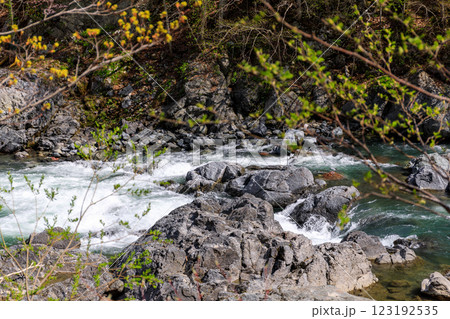 北海道占冠村、山あいを流れる春の鵡川【5月】 123192535