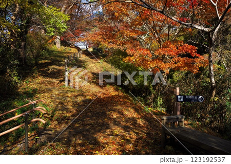 秋の松島四大観　駐車場から大高森：壮観への紅葉の道 123192537