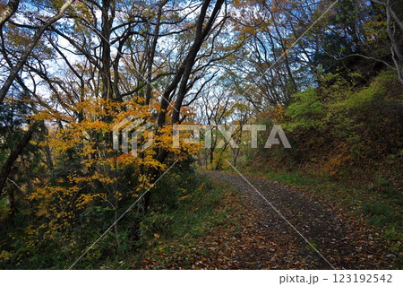 秋の松島四大観 駐車場から大高森:壮観への紅葉の道 秋の松島四大観 駐車場から大高森:壮観への紅葉の道 123192542