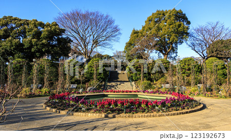 港の見える丘公園の冬 123192673