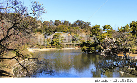 日本庭園の景勝地の三渓園・三溪園の冬（早春） 123192816
