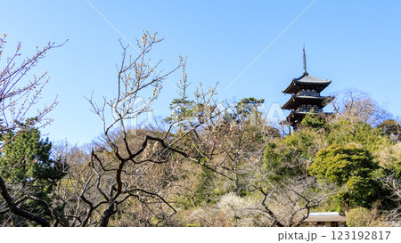 日本庭園の景勝地の三渓園・三溪園の冬（早春） 123192817
