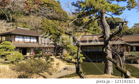 日本庭園の景勝地の三渓園・三溪園の冬（早春） 123192821