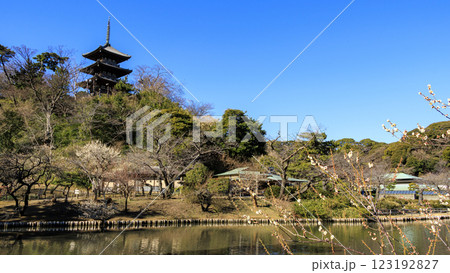 日本庭園の景勝地の三渓園・三溪園の冬（早春） 123192827