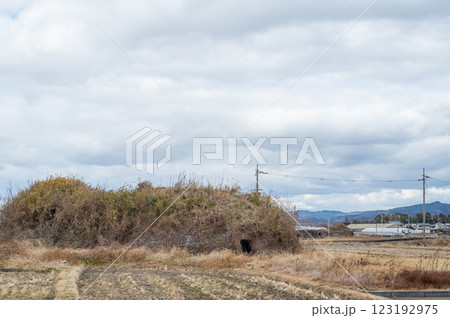 柳本飛行場跡南側防空壕跡の景色 123192975