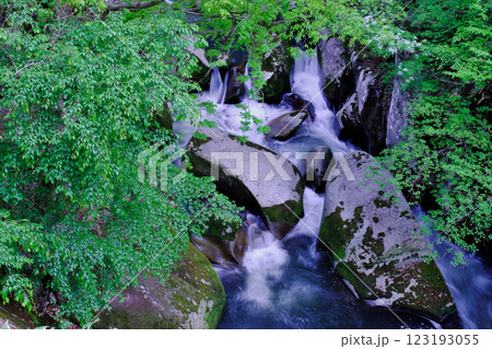 緑葉と巨岩の渓流（鬼の舌震：仁多郡奥出雲町） 123193055