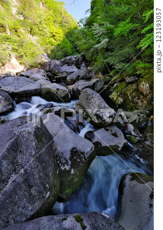 巨岩と渓流(鬼の舌震:仁多郡奥出雲町) 巨岩と渓流(鬼の舌震:仁多郡奥出雲町) 123193057
