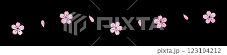 ピンク色の桜の花びらのシルエットで構成された区切り線のイラスト　黒背景の切り抜き 123194212