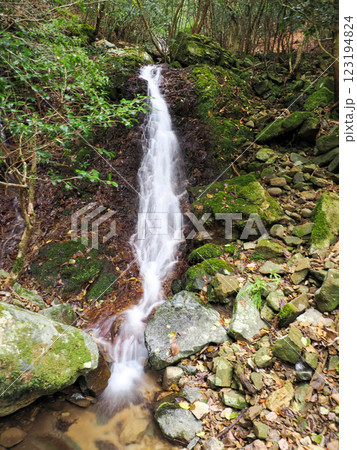 山口県下関市(豊田町)天井ヶ滝 山口県下関市(豊田町)天井ヶ滝 123194824