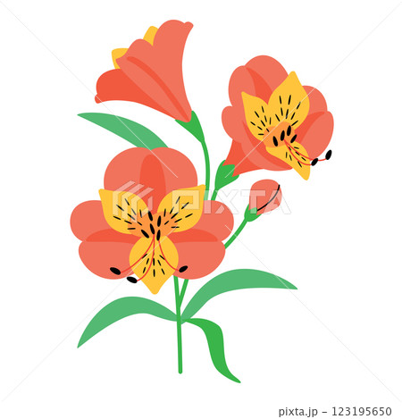 アストロメリアの花 123195650