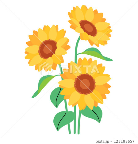 ひまわりの花 123195657