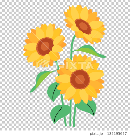 ひまわりの花 123195657