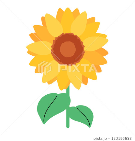 ひまわりの花 123195658