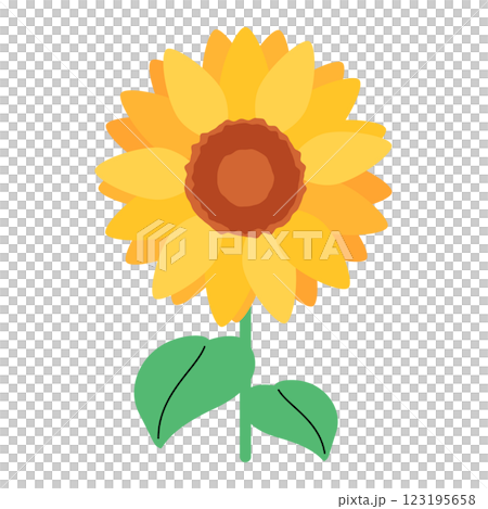 ひまわりの花 123195658