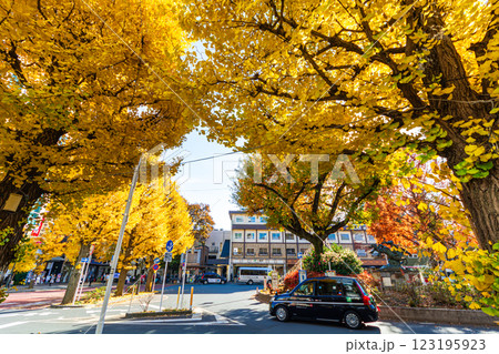 東京都　三鷹駅北口 123195923