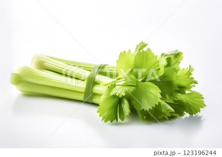セロリのイメージ素材 セロリのイメージ素材 123196244